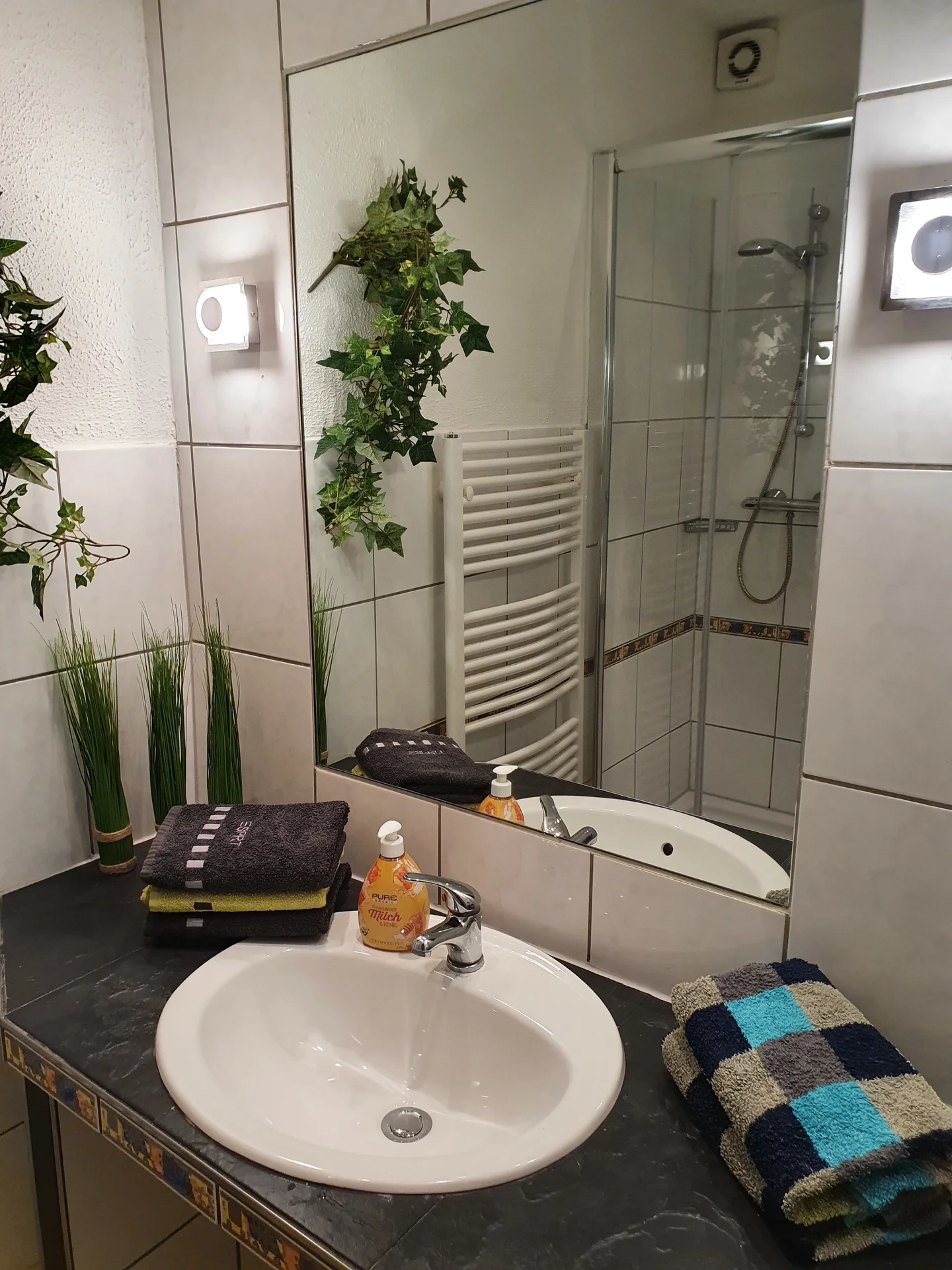 Löwenapartment Bad